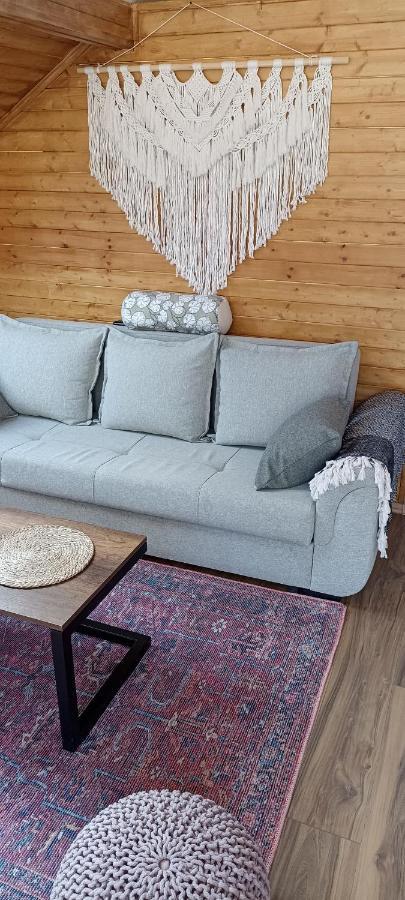 Cottage Toladi 卡兹贝吉 外观 照片
