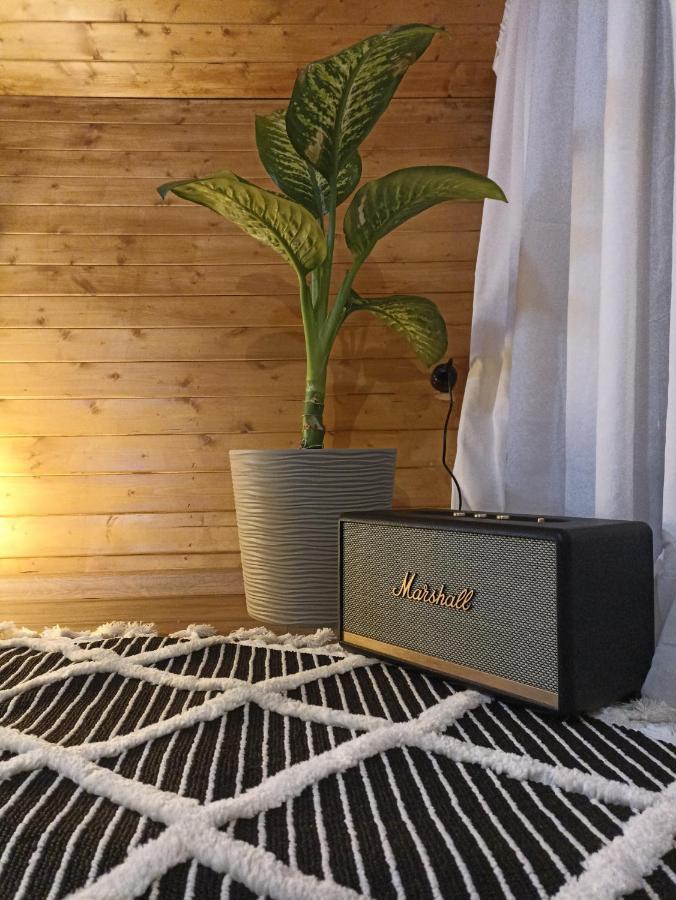 Cottage Toladi 卡兹贝吉 外观 照片