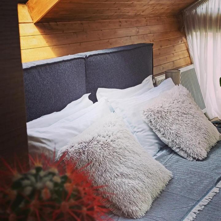 Cottage Toladi 卡兹贝吉 外观 照片
