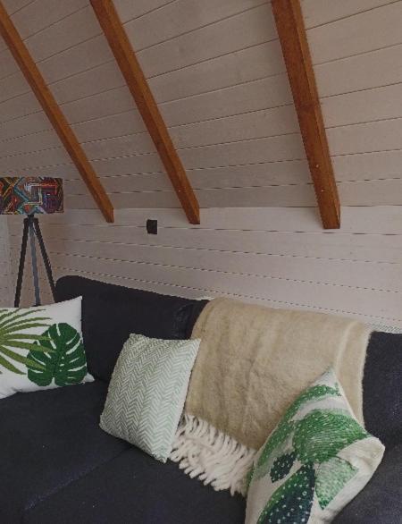 Cottage Toladi 卡兹贝吉 外观 照片