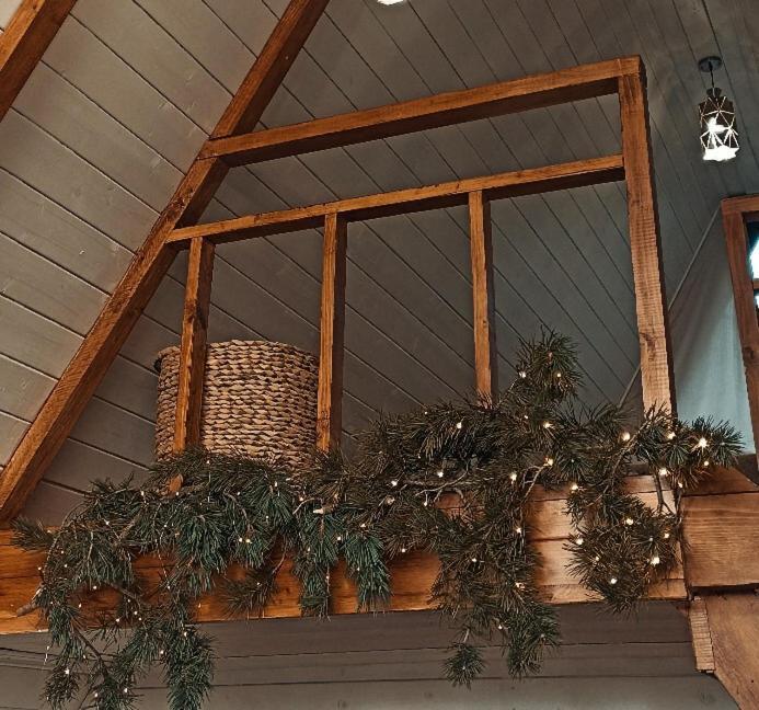Cottage Toladi 卡兹贝吉 外观 照片