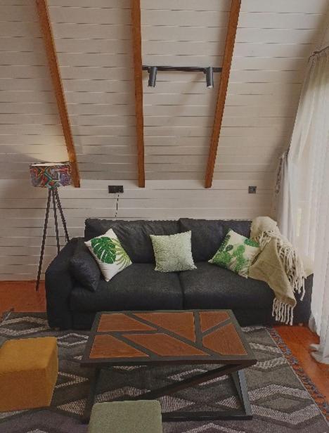 Cottage Toladi 卡兹贝吉 外观 照片